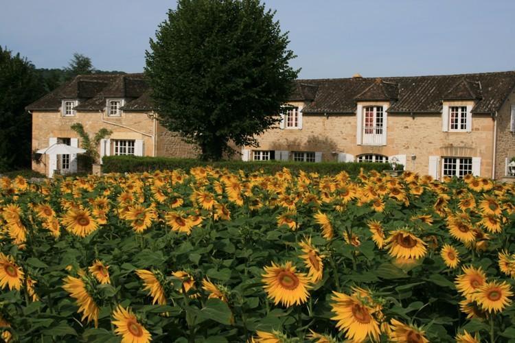 サン・ヴァンサン・ド・コース Domaine Des Hirondellesヴィラ 部屋 写真